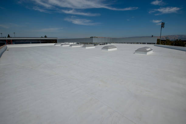 Best Solar Panel Roofing Installation  in Glencoe, AL