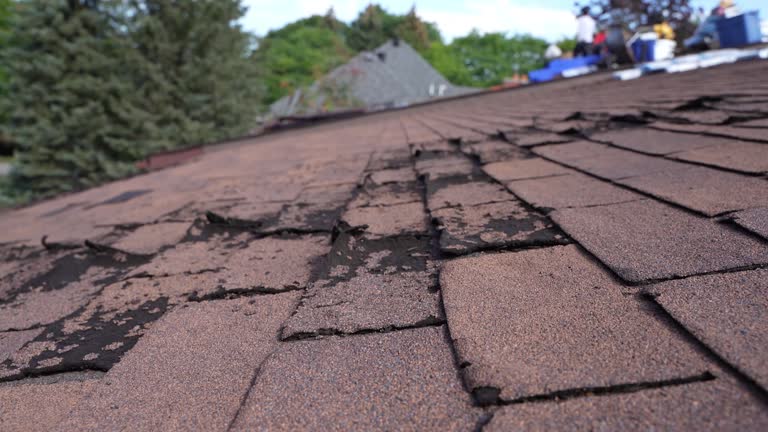 Best Roof Maintenance and Cleaning  in Glencoe, AL