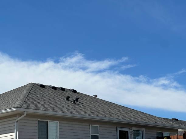 Best 4 Ply Roofing  in Glencoe, AL